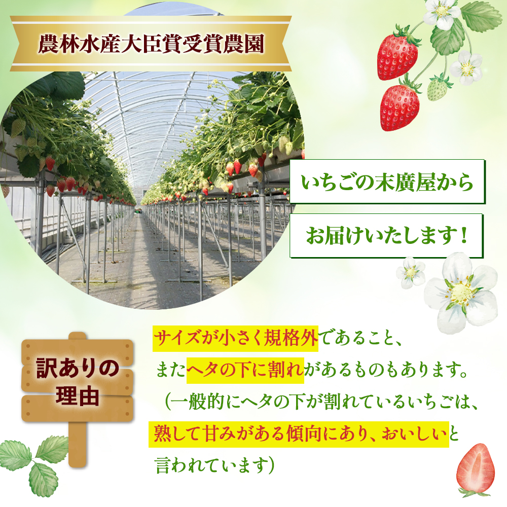 （小粒）農林水産大臣賞受賞農園からお届けする　訳アリ　かおり野　1kg（250ｇ×4Ｐ）/いちご　ISH-02