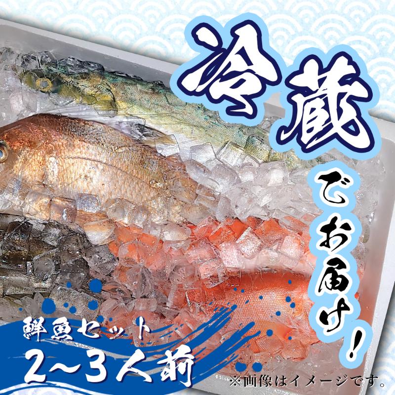 鮮魚 冷蔵 クール便「 開けたらすぐ食べられる下処理済み 海産物 2～3人前 セット 」みずしまや【 パック 詰め合わせ 海鮮セット 鮮魚ボックス 海鮮 海の幸 魚介 魚介類 刺身 切り身  秋田県 