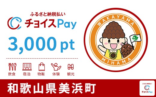 
            美浜町チョイスPay 3,000pt【会員限定のお礼の品】
          
