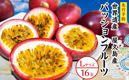 【2026年発送先行受付】絶品パッションフルーツL玉(16玉)“屋久島の恵み”と“愛情”込めて！