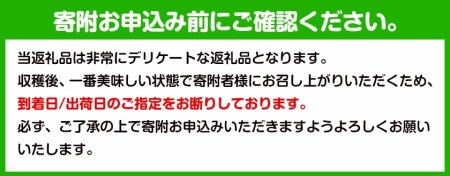 観音山グレープフルーツ 3kg 有限会社柑香園《2027年1月上旬-2月下旬頃出荷》和歌山県 紀の川市 フルーツ 果物 柑橘 グレープフルーツサンタマリア