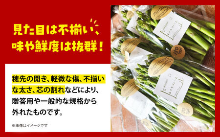 【訳あり】 MOTTAINAI アスパラ 1kg 【えぐちファーム】[HDE003]