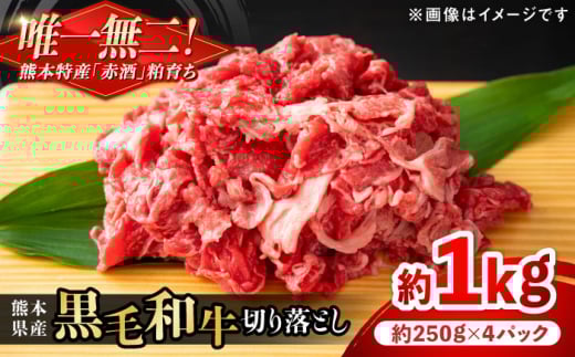 熊本県産 『原田畜産』 黒毛和牛 切り落とし 計約1kg（約250g×4パック） 牛肉 牛【有限会社 九州食肉産業】 [AYCN011]