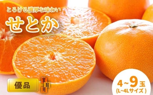 【2月中旬から発送】 せとか 家庭用(優品) （L～4L / 4～9玉）| みかん せとか 優品 柑橘 愛媛県 松山市 松山市産せとか 柑橘の大トロ「せとか」 柑橘 みかん ミカン せとか 優品せとか ふるさと納税せとか