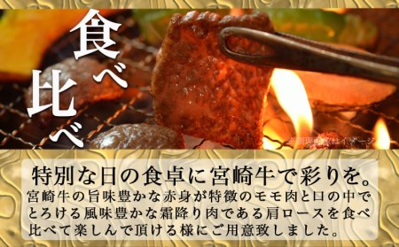 宮崎牛赤身＆霜降り【とろ旨カルビセット】800g_AC-6504_(都城市) 牛肉 牛もも焼肉用(500g) 牛肩ロース焼肉用(300g) 合計800グラム 焼き肉用カット 鉄板焼き BBQ 牛モモ肉