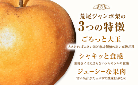 【2025年先行予約】 梨 なし 贈答用 荒尾ジャンボ梨（新高）2玉入り 約1.5kg 秋 旬 熊本県 荒尾市産 高口果樹園《2025年10月上旬-10月下旬頃出荷》フルーツ 果物 ギフト 化粧箱 専