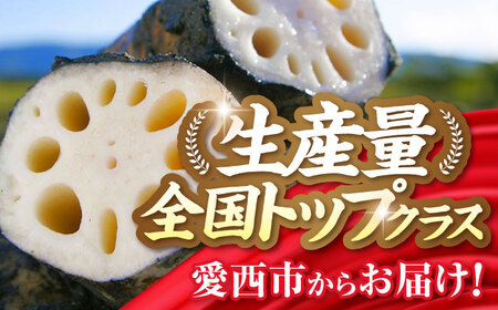 【先行予約】産地直送！土付き蓮根（5kg）【清水食品株式会社】 れんこん レンコン 愛知県産 野菜 産地直送 愛西市/ 清水食品株式会社[AEAJ002]
