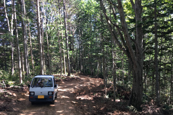 薪を採取した里山