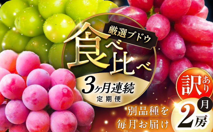 【全3回定期便】【2026年先行予約】【30個限定】【自宅用】毎月ぶどうをお届け！イチオシ3品種 各2房  島根県雲南市/ギアファーム [AIAB011]