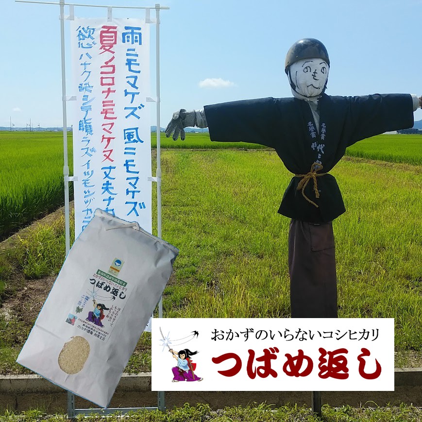 
                  【令和8年産米予約受付中】おかずのいらないコシヒカリ「つばめ返し」白米10kg FC028026
                