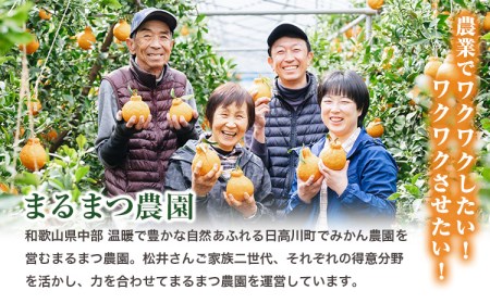 【先行予約】木成り完熟 温州みかんミックスサイズ10kg まるまつ農園《2025年12月上旬-2026年1月末頃出荷》 和歌山県 日高川町 温州みかん みかん 完熟 