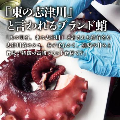 ふるさと納税 宮城県 南三陸 魚市場キッチン タコのアヒージョ3缶セット 志津川湾のタコを使用 |  | 01