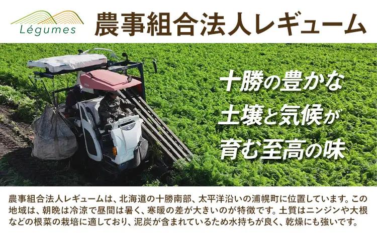 十勝 浦幌べにかなで 人参 訳あり 不揃い 約5kg 農事組合法人レギューム