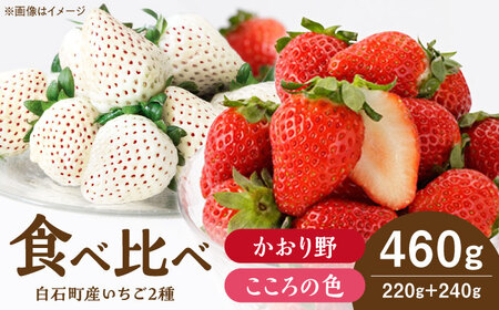 【R8年1月以降発送】こころの色×かおり野 紅白いちごセット 計460g / いちご [IBJ024]