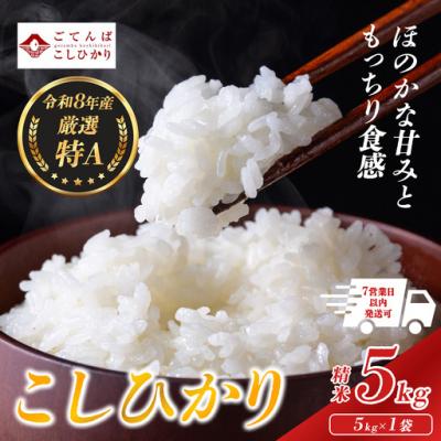 ふるさと納税 小山町 【令和8年産】米 コシヒカリ 5kg 精米 静岡県産 特A 厳選【先行予約】