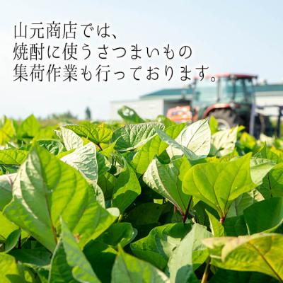 ふるさと納税 曽於市 芋・麦飲み比べ3種セット (財大吉・そお星人(芋・麦) 各720ml) |  | 03