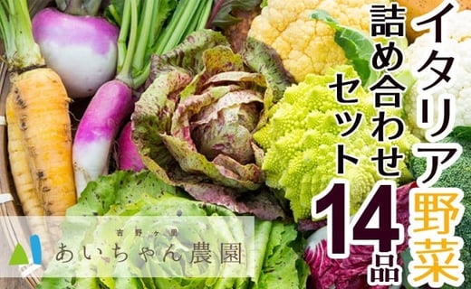 
季節のイタリア野菜詰め合わせセット14品(西洋野菜・珍野菜）
