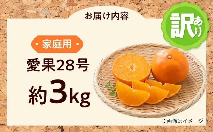 みかん 訳あり 愛果28号 約3kg フルーツ 果物 みかん 訳あり BJAZ002