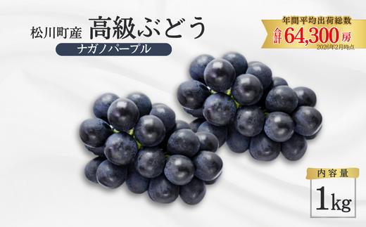 TK34　ぶどう ナガノパープル 約1kg ／2026年9月上旬～中旬頃 配送予定 // 贈答 長野県 南信州 ぶどう 葡萄 ナガノ パープル 種なし 皮ごと 果物 フルーツ