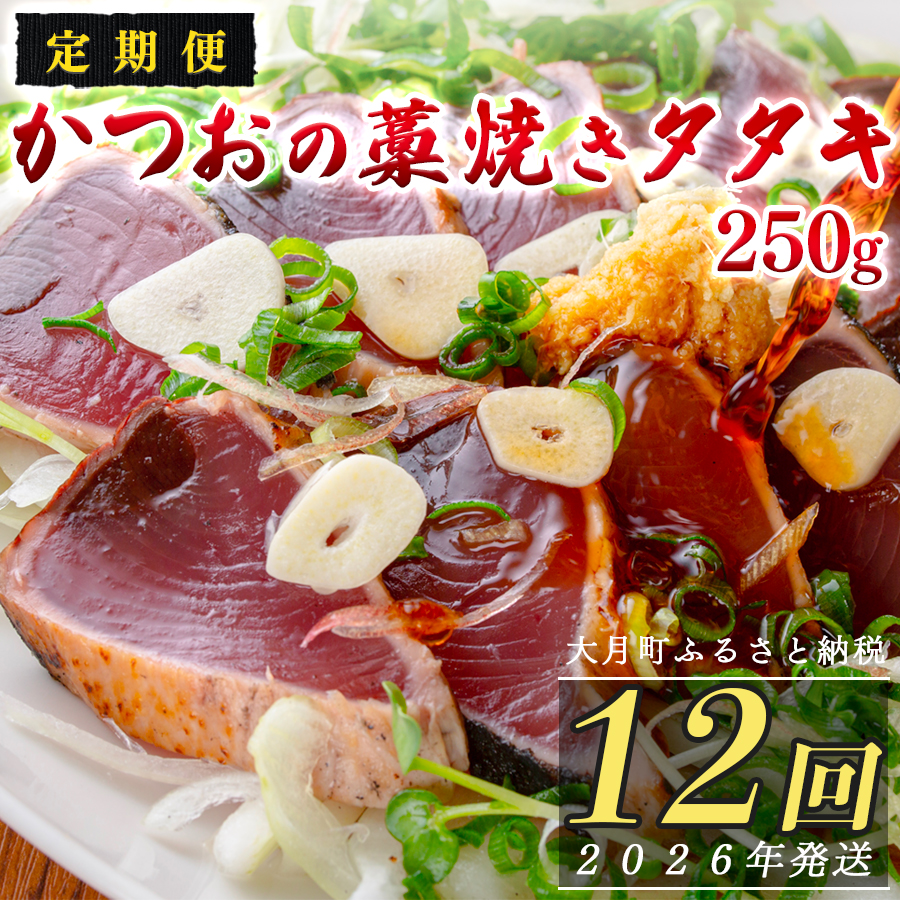 【定期便12回】本場 高知 かつおの藁焼きたたき 250g以上 小分け 真空 パック｜新鮮 かつお カツオ 鰹 カツオのたたき かつおたたき 鰹のたたき かつおタタキ 個包装 冷凍 家飲み ごちそう ギフト 贈答 海鮮 魚介 ランキング 産地直送