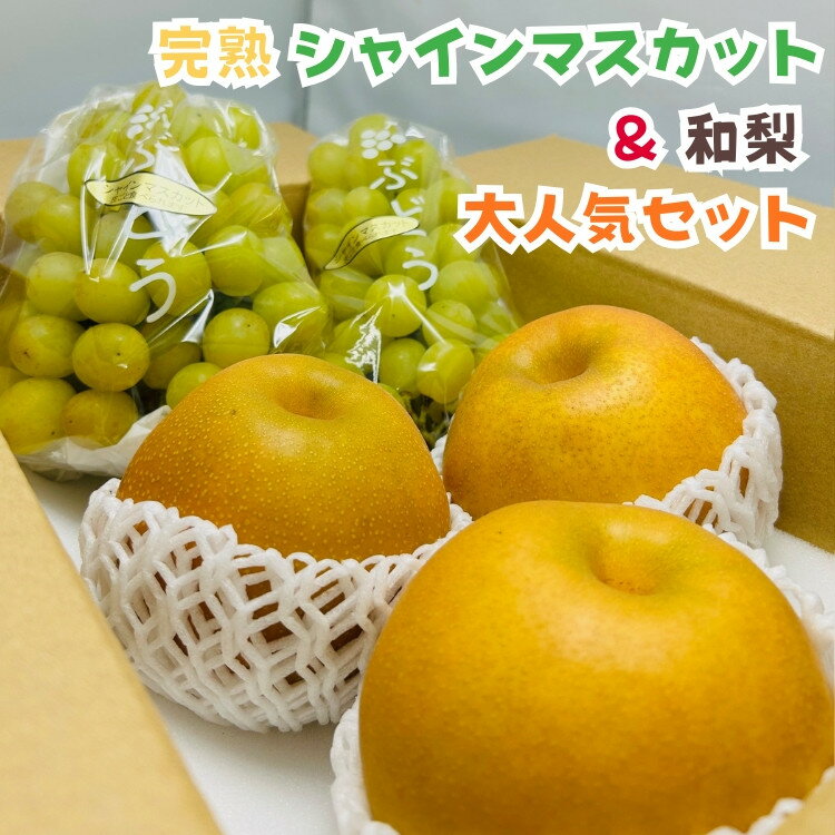 【ふるさと納税】【選べる容量】［先行予約・2026年発送］朝採れ完熟シャインマスカットと和梨 セット 約2～4kg | ぶどう フルーツ 果物 くだもの 食品 人気 おすすめ 送料無料