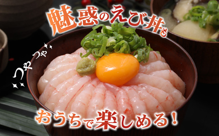 新鮮美味！ 甘エビ(船凍甘エビ 大サイズ)約1kg おいしいたまり醤油付【えび エビ 海老 甘えび 海鮮 お造り 刺身 おせち 海鮮丼 生食 急速冷凍 福井】[m21-b008]