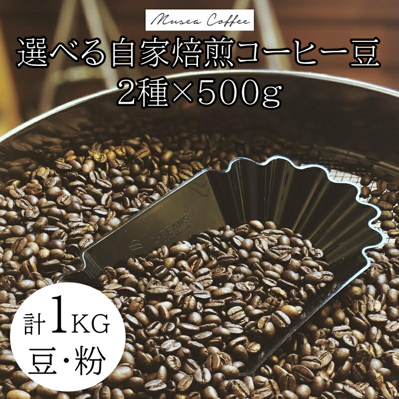 【ふるさと納税】20-94自家焙煎コーヒー豆 選べる2種×500g 合計1kg コーヒー豆 粉 飲み比べ