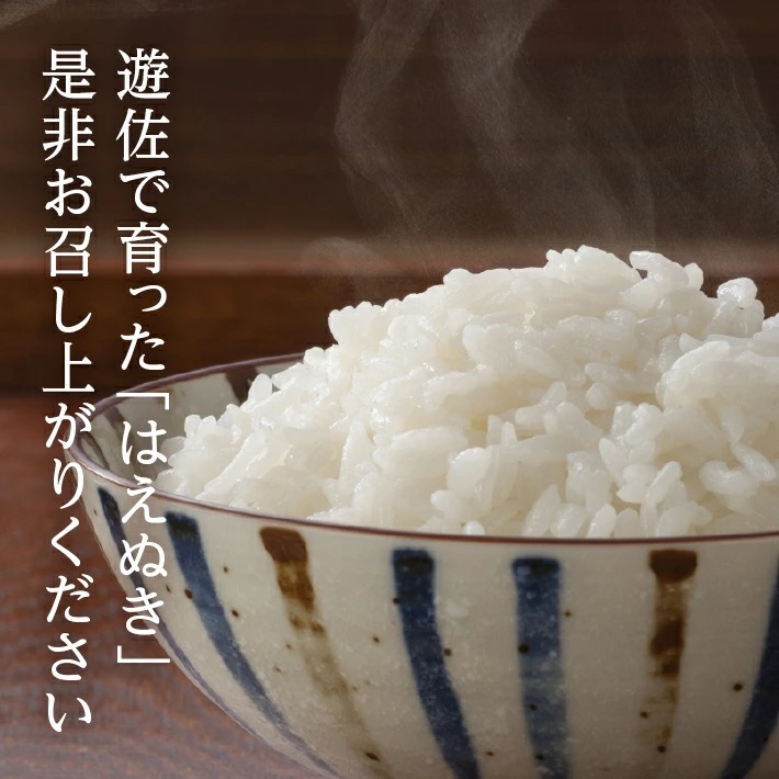 遊佐産はえぬき5kg（令和6年産米）11月中旬