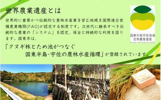 乾し椎茸 どんこ110g（国東半島宇佐地域世界農業遺産ブランド認証品）
