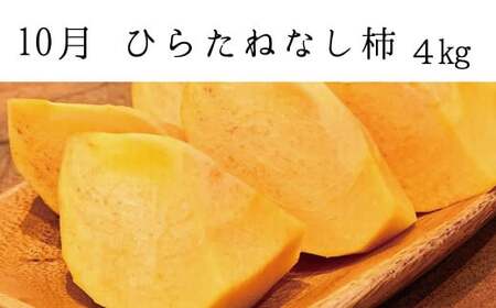 かき 柿 みかん 柑橘 フルーツ 果物 定期便 /【全3回定期便】秋の味覚 果物定期便　柿・みかん　旬のフルーツを毎月お届け♪【tkb130】