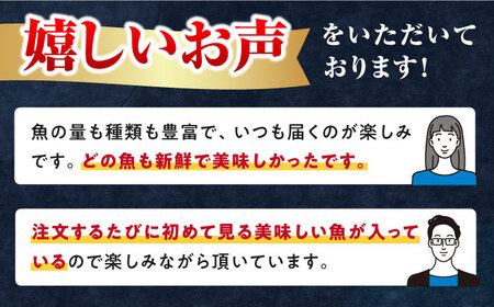 対馬産 旬の地魚 干物 5種 セット《対馬市》【対海】冷凍 肉厚 新鮮 直送 旬 海鮮 ひもの 朝食 イカ サバ[WAH024]