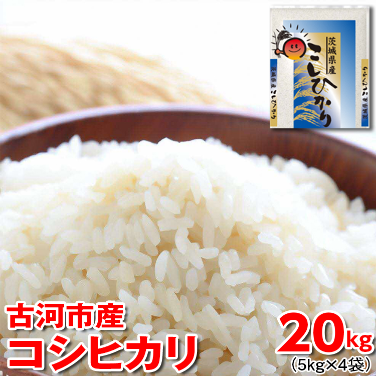 令和6年産 古河市産 コシヒカリ 20kg（5kg×4袋）｜ 米 こめ コメ 20キロ こしひかり コシヒカリ 古河市産 茨城県産 贈答 贈り物 プレゼント 茨城県 古河市 直送 産地直送 _DP24