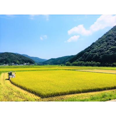 ふるさと納税 三原村 新米先行受付!令和7年産(精白米)　特別栽培米　こしひかり10kg×2袋 |  | 01