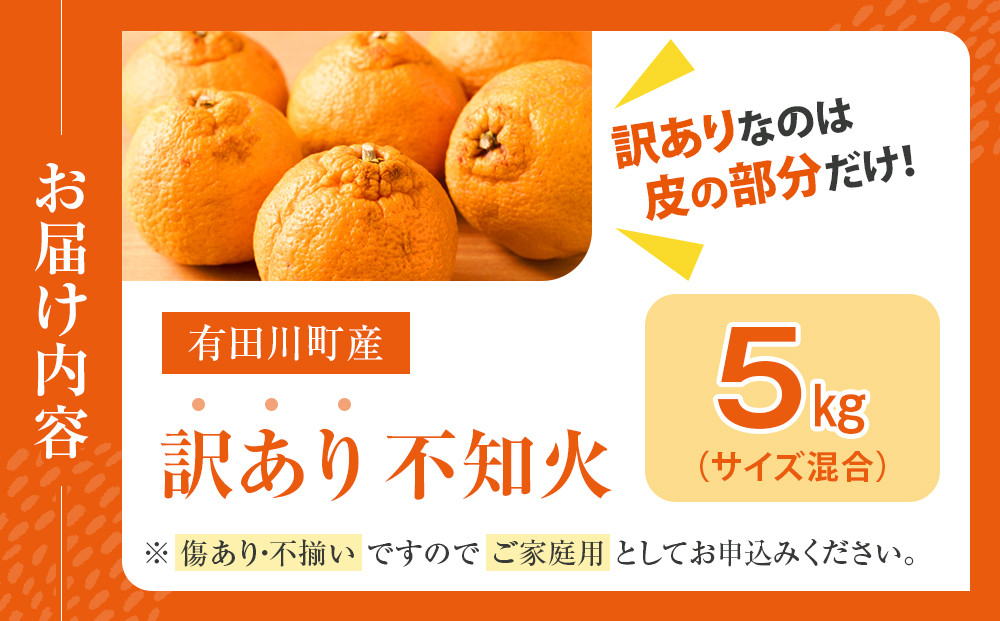 不知火(しらぬい) オレンジ みかん 家庭用 5kg