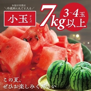 SA2882　小玉スイカ「姫甘泉」　7kg以上(3～4玉入)