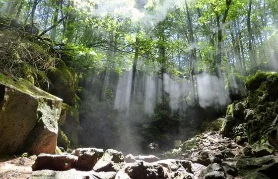 (2)青木ケ原樹海・天然洞窟・ミステリー４時間コース【大人２名様分体験チケット】