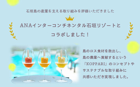 ＜期間限定 春フェア＞ 石垣島冷凍パイナップル 250g×3パック×6回 定期便