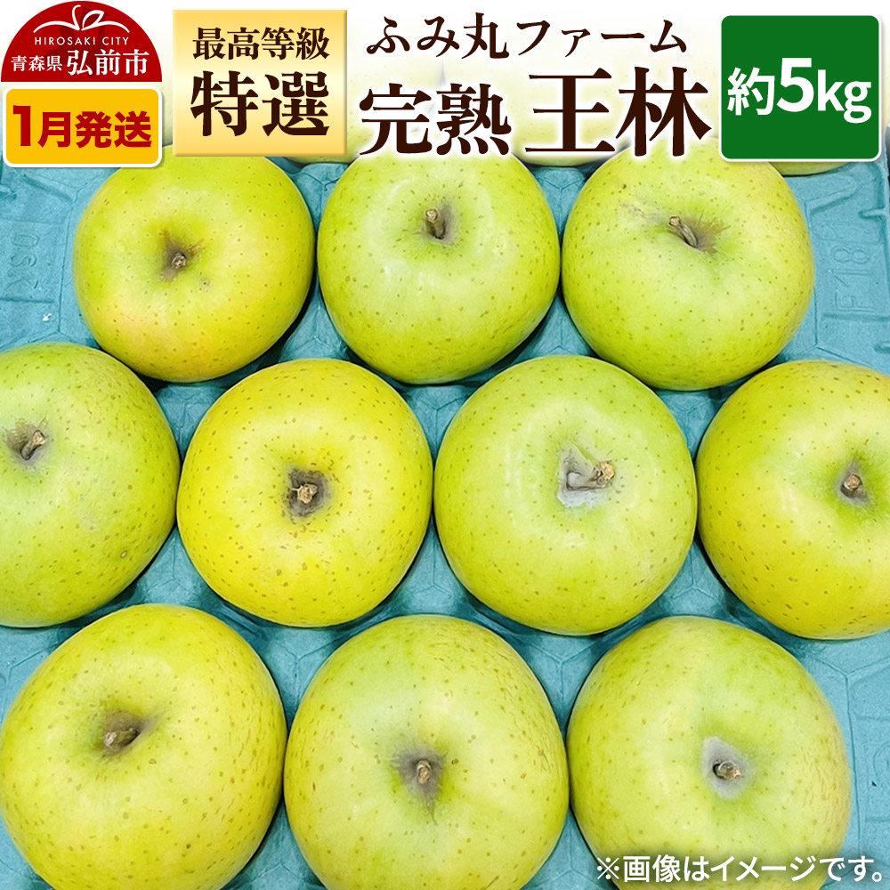 【寄附金額見直しました】【26年1月～発送】りんご ふみ丸ファーム 最高等級「特選」完熟 王林 約5kg
