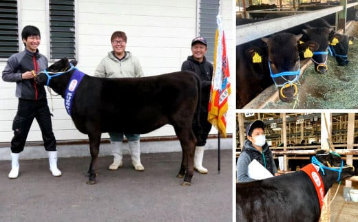 宮崎牛 切り落とし 霜降り ＆ 赤身 焼肉セット 700g カルビ モモ ウデ 赤身 国産牛 牛肉 お肉 冷凍 焼肉 焼き肉 BBQ バーベキュー 鉄板 ホットプレート ギフト 贈答用 贈り物 特別な