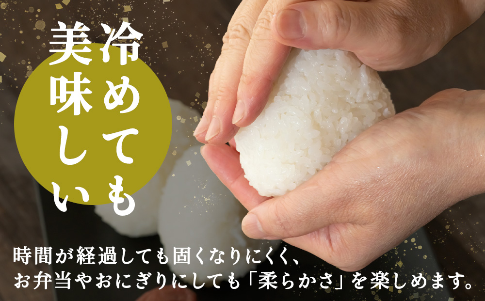 【定期便2カ月】北海道産おぼろづき　5kg×2　計10kg 【配送不可地域：離島・沖縄県】