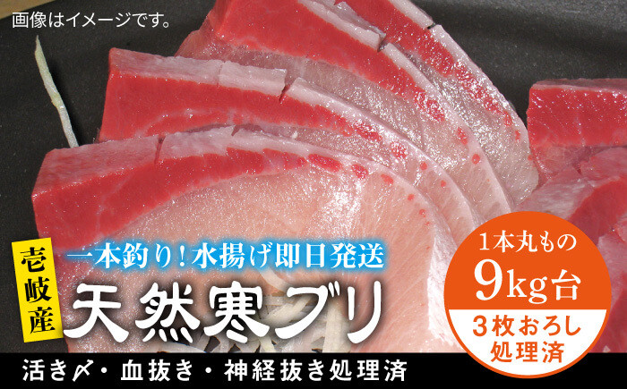 
            壱岐島産天然寒ブリ（9キロ台・3枚おろし） 《壱岐市》【壱岐島　玄海屋】[JBS030] ぶり 寒ぶり ブリ 魚 刺身 しゃぶしゃぶ 113000 113000円 
          