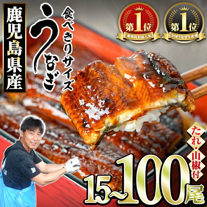 【ふるさと納税】＜食べきりサイズ！＞東串良町のうなぎ蒲焼(無頭)(1尾約100g・15尾～100尾・タレ、山椒付) うなぎ 蒲焼長焼 ウナギ 鰻 蒲焼き 国産うなぎ 国産 九州産 鹿児島 鹿児島県産 人気 ランキング 高級 家庭用 おすすめ たれ さんしょう 【アクアおおすみ】