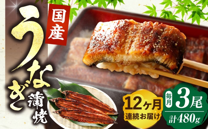 
                  【全12回定期便】福岡県産 うなぎ 蒲焼 大3尾 合計 480 g（1尾あたり 160g以上）《豊前市》【福岡養鰻】 国産 うなぎ 大 [VAD016]
                