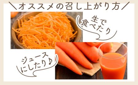 【2026年11月以降発送】にんじん ７ｋｇ 家庭用 yr-0139