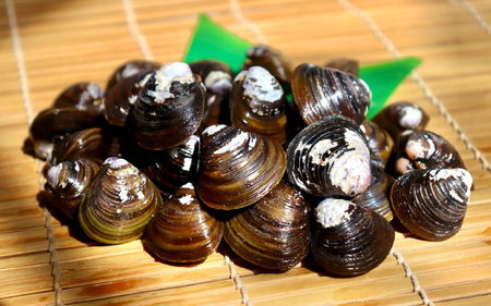 琵琶湖産しじみのレトルト味噌汁 10食入×2パック [TT004] / 蜆