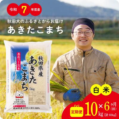 ふるさと納税 大館市 【定期便6ヶ月】令和7年産秋田県産あきたこまち(白米)10kg
