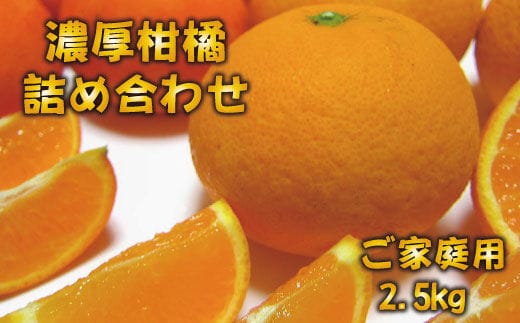 
										
										【先行予約】有田育ちの濃厚柑橘詰め合わせセット(ご家庭用) 約2.5kg【2025年1月中旬～4月下旬順次発送予定】【ard033A】
									