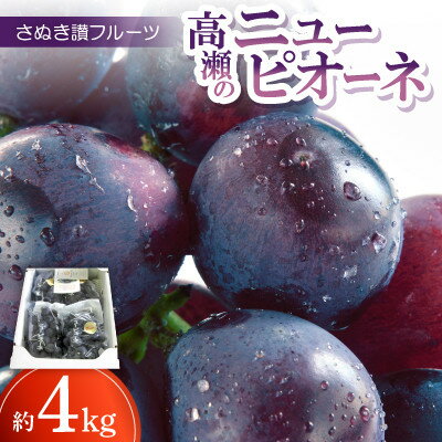 【ふるさと納税】さぬき讃フルーツ「高瀬のニューピオーネ」約4kg 【令和8年7～10月発送】【配送不可地域：離島】【1609807】