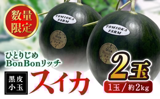 【先行予約】ひとりじめBonBonリッチ～黒皮小玉 スイカ 2玉～ 西瓜 小玉すいか くまもと 果物  熊本県産 すいか スイカ 小玉 熊本県 名産 黒 ブラック フルーツ 旬 甘い ひとりじめ シャリシャリ 送料無料 山鹿市【とみおか農園】[ZEM002]