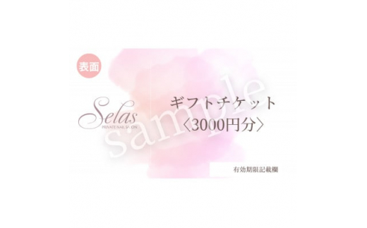 
ネイル施術　ギフトチケット<3000円>【1414250】
